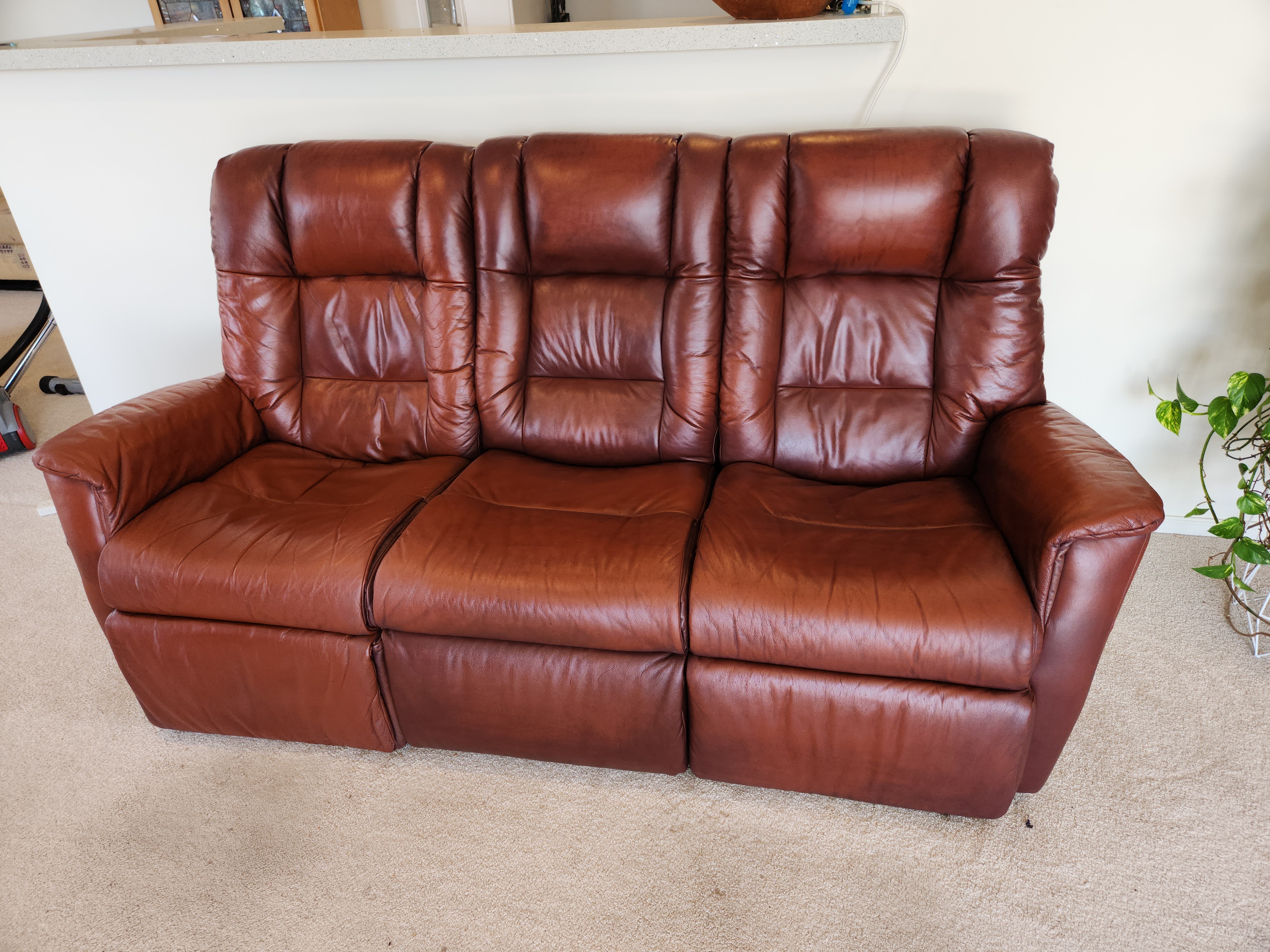 CLEAN AND CONDITION - Elane Jorden #2